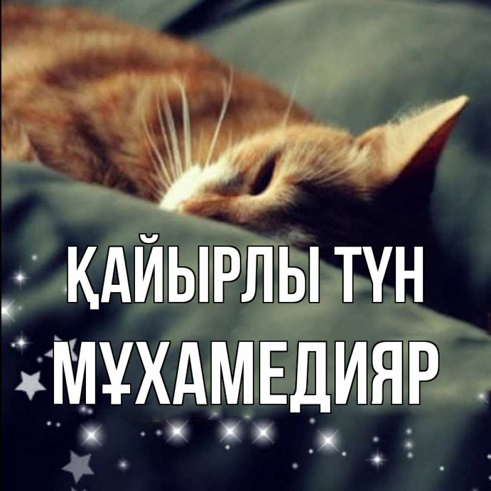 Күн сайын ашық хат с именем, МҰХАМЕДИЯР Қайырлы түн кроватка Онлайн тегін жүктеп алу тілектері бар керемет карта 