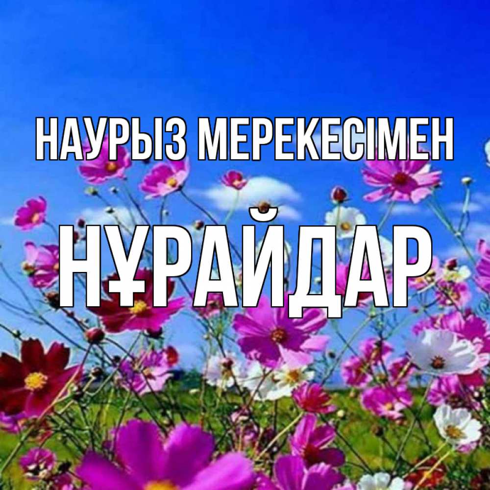 Күн сайын ашық хат с именем, НҰРАЙДАР Наурыз мерекесімен цветы Онлайн тегін жүктеп алу тілектері бар керемет карта 