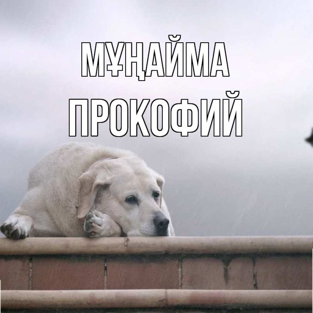 Күн сайын ашық хат с именем, Прокофий Мұңайма белый пес 1 Онлайн тегін жүктеп алу тілектері бар керемет карта 