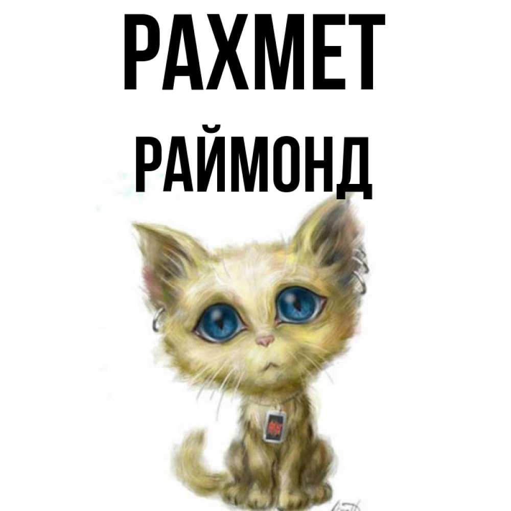 Күн сайын ашық хат с именем, Раймонд рахмет рисованный кот благодарит вас Онлайн тегін жүктеп алу тілектері бар керемет карта 