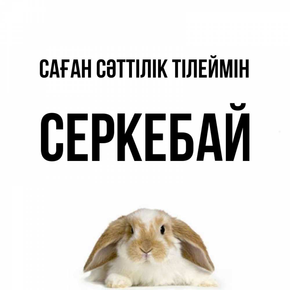 Күн сайын ашық хат с именем, СЕРКЕБАЙ Саған сәттілік тілеймін открытки с произвольным текстом который можно вставить в открытку и создать ее самостоятельно бесплатно онлайн Онлайн тегін жүктеп алу тілектері бар керемет карта 