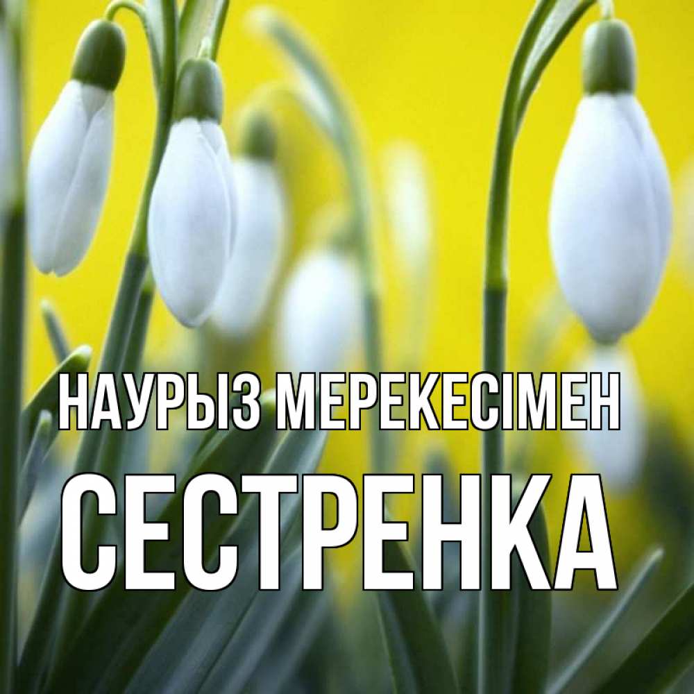Күн сайын ашық хат с именем, Сестренка Наурыз мерекесімен весенние цветы Онлайн тегін жүктеп алу тілектері бар керемет карта 