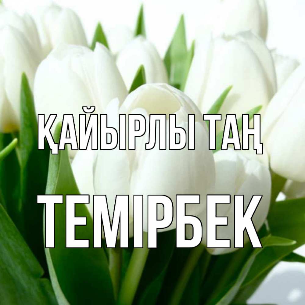 Күн сайын ашық хат с именем, ТЕМІРБЕК Қайырлы таң открытки на каждый день по именам Онлайн тегін жүктеп алу тілектері бар керемет карта 