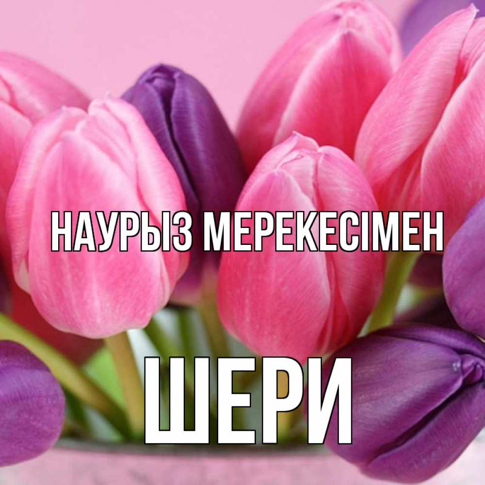 Күн сайын ашық хат с именем, ШЕРИ Наурыз мерекесімен маме 1 Онлайн тегін жүктеп алу тілектері бар керемет карта 