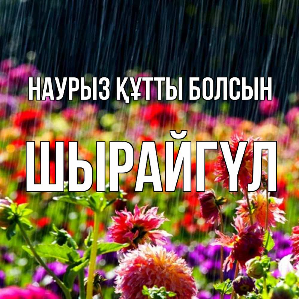 Күн сайын ашық хат с именем, ШЫРАЙГҮЛ Наурыз құтты болсын цветы под дождиком к наурызу Онлайн тегін жүктеп алу тілектері бар керемет карта 