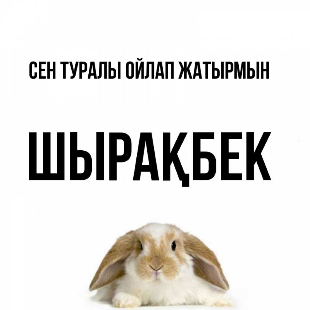 Күн сайын ашық хат с именем, ШЫРАҚБЕК Сен туралы ойлап жатырмын подписать своими руками онлайн Онлайн тегін жүктеп алу тілектері бар керемет карта 