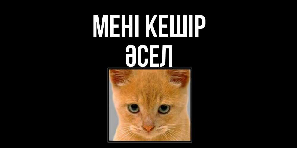 Күн сайын ашық хат с именем, ӘСЕЛ Мені кешір рыжий грустный кот просит прощения Онлайн тегін жүктеп алу тілектері бар керемет карта 