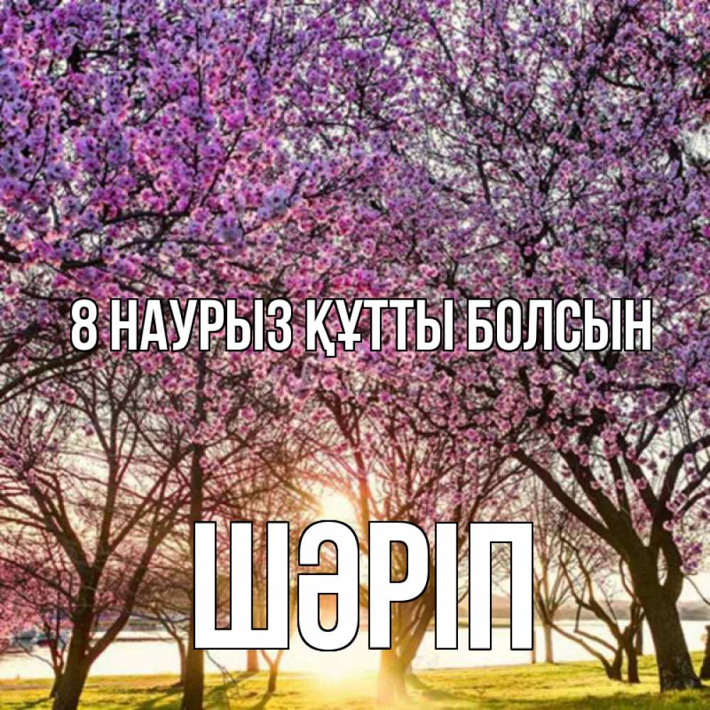 Күн сайын ашық хат с именем, ШӘРІП 8 наурыз құтты болсын международный женский день Онлайн тегін жүктеп алу тілектері бар керемет карта 
