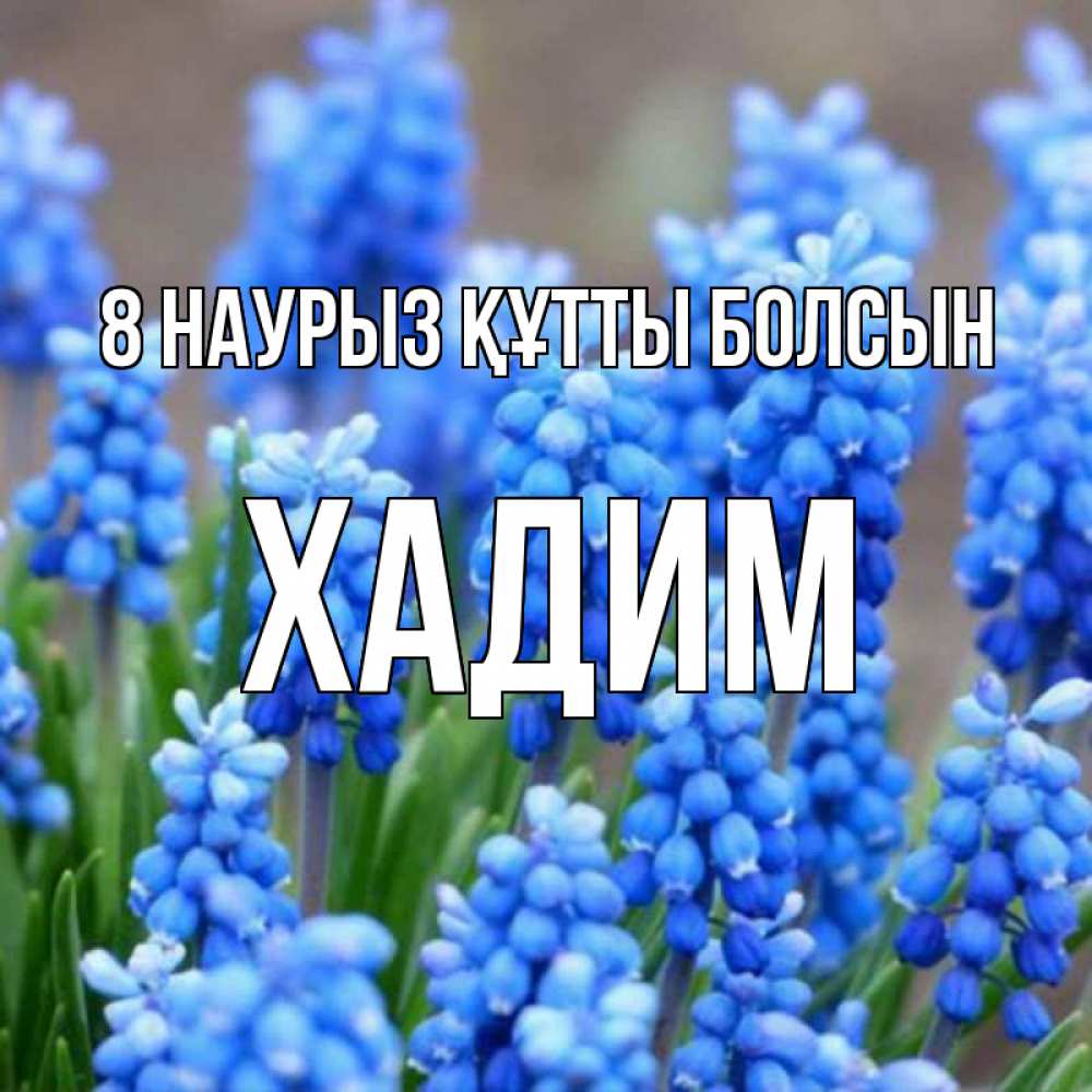 Күн сайын ашық хат с именем, ХАДИМ 8 наурыз құтты болсын Поздравительная открытка для женщин с цветами на праздничную дату Онлайн тегін жүктеп алу тілектері бар керемет карта 