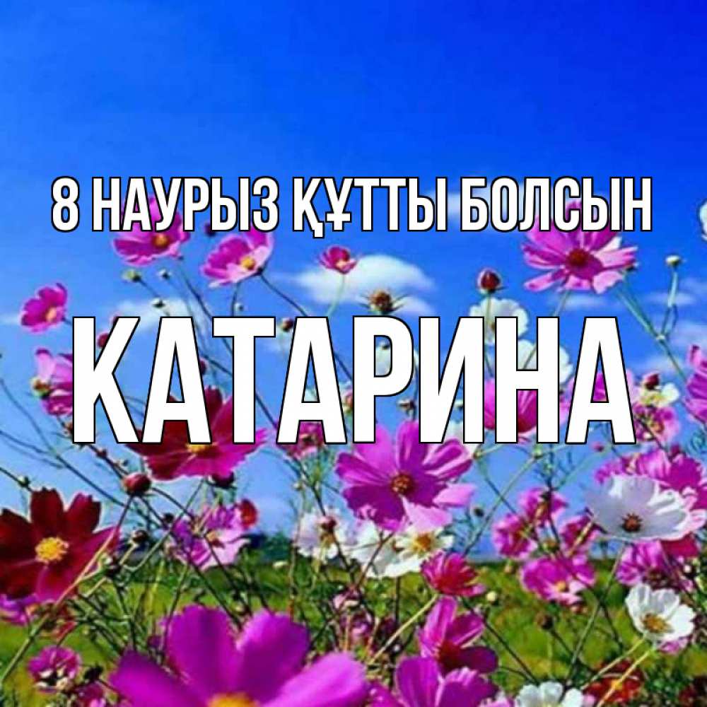 Күн сайын ашық хат с именем, Катарина 8 наурыз құтты болсын цветы Онлайн тегін жүктеп алу тілектері бар керемет карта 