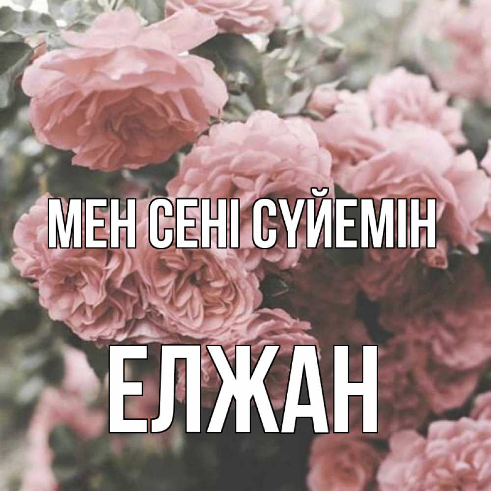 Күн сайын ашық хат с именем, Елжан Мен сені сүйемін розы 3 Онлайн тегін жүктеп алу тілектері бар керемет карта 