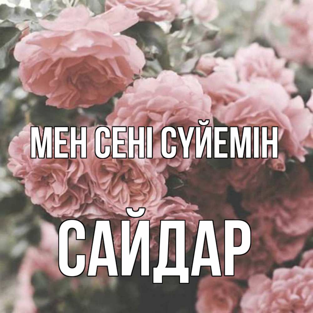Күн сайын ашық хат с именем, САЙДАР Мен сені сүйемін розы 3 Онлайн тегін жүктеп алу тілектері бар керемет карта 