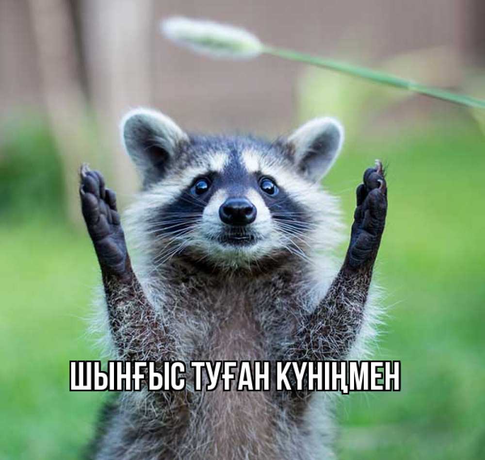 Картинка  с именем , ШЫНҒЫС! ТУҒАН КҮНІҢМЕН!