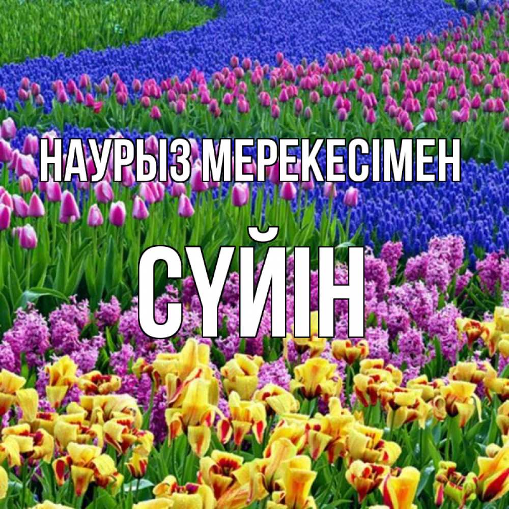Күн сайын ашық хат с именем, СҮЙІН Наурыз мерекесімен цветы Онлайн тегін жүктеп алу тілектері бар керемет карта 
