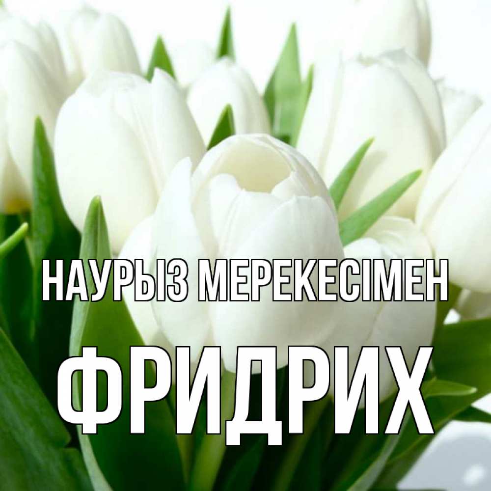 Күн сайын ашық хат с именем, Фридрих Наурыз мерекесімен цветы Онлайн тегін жүктеп алу тілектері бар керемет карта 