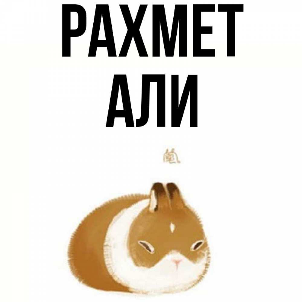 Күн сайын ашық хат с именем, Али рахмет коричнево белый домашний питомец Онлайн тегін жүктеп алу тілектері бар керемет карта 