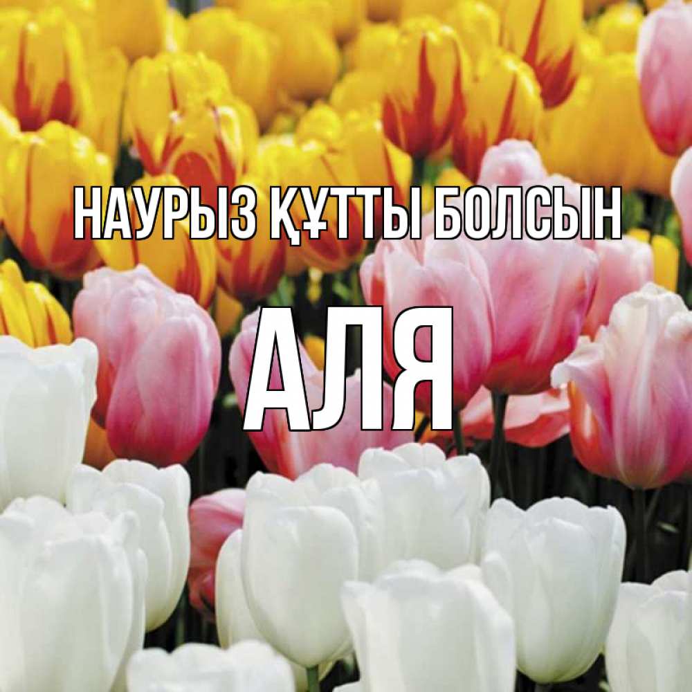 Күн сайын ашық хат с именем, Аля Наурыз құтты болсын разноцветные цветы Онлайн тегін жүктеп алу тілектері бар керемет карта 