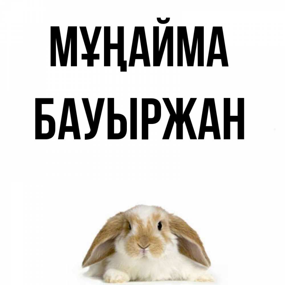 Күн сайын ашық хат с именем, Бауыржан Мұңайма коричнево белый заяц с большими ушками Онлайн тегін жүктеп алу тілектері бар керемет карта 