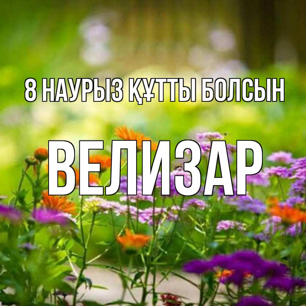 Күн сайын ашық хат с именем, Велизар 8 наурыз құтты болсын цветы Онлайн тегін жүктеп алу тілектері бар керемет карта 