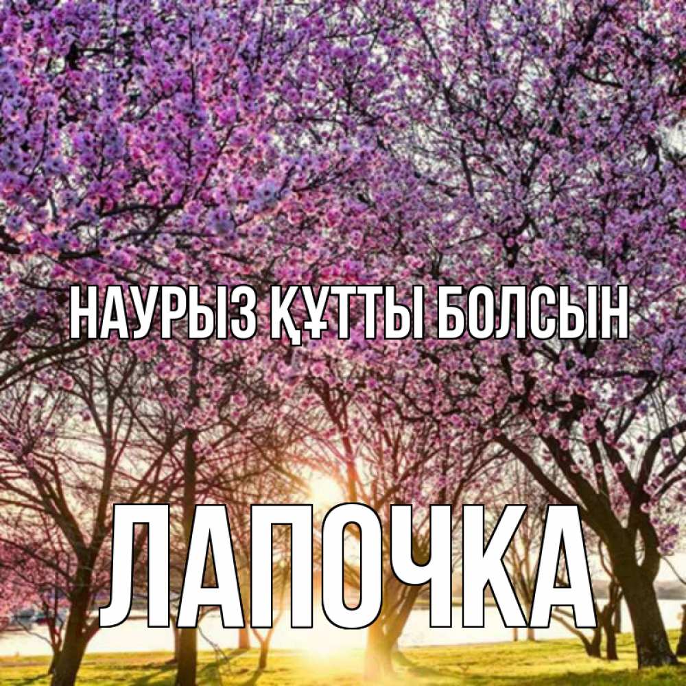 Күн сайын ашық хат с именем, Лапочка Наурыз құтты болсын наурыз Онлайн тегін жүктеп алу тілектері бар керемет карта 