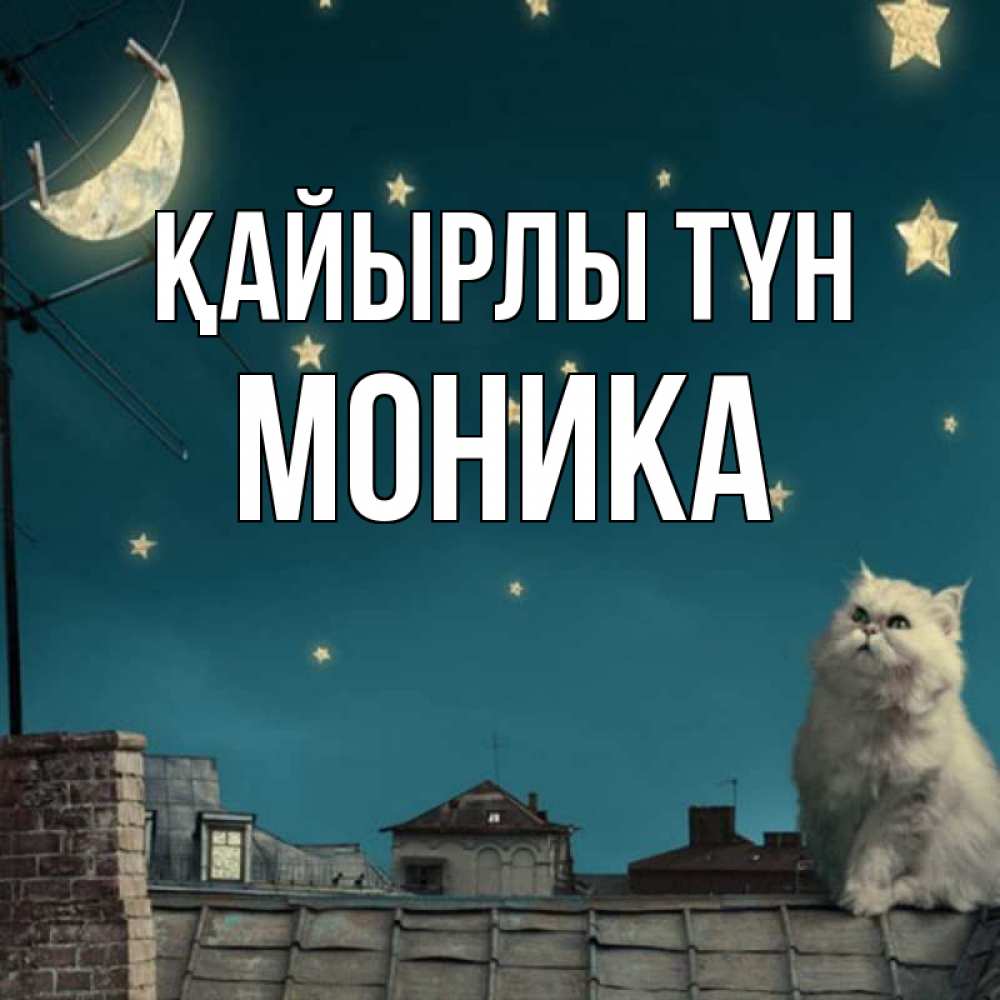 Күн сайын ашық хат с именем, Моника Қайырлы түн белый кот сидит на крыше Онлайн тегін жүктеп алу тілектері бар керемет карта 