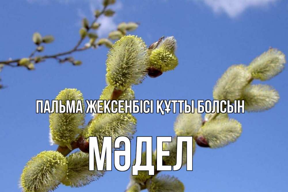 Күн сайын ашық хат с именем, МӘДЕЛ Пальма жексенбісі құтты болсын верба Онлайн тегін жүктеп алу тілектері бар керемет карта 