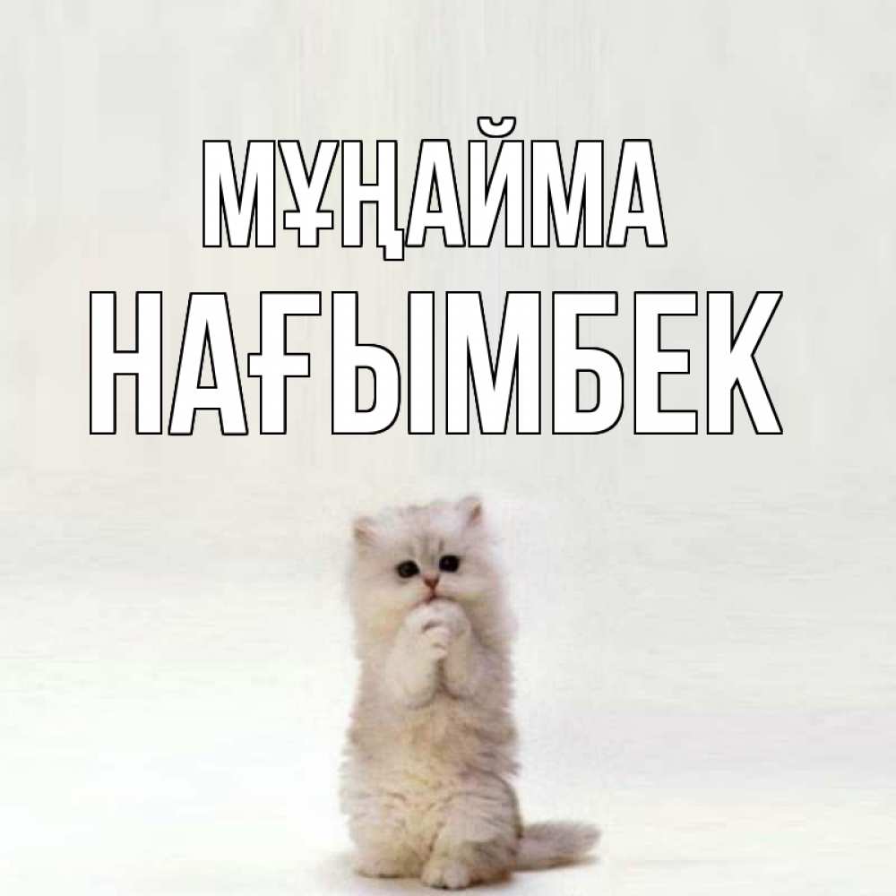 Күн сайын ашық хат с именем, НАҒЫМБЕК Мұңайма грустный кот Онлайн тегін жүктеп алу тілектері бар керемет карта 