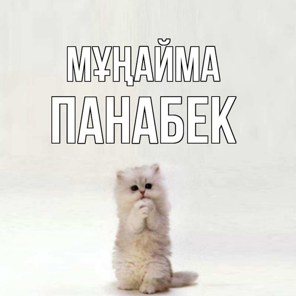 Күн сайын ашық хат с именем, ПАНАБЕК Мұңайма грустный кот Онлайн тегін жүктеп алу тілектері бар керемет карта 