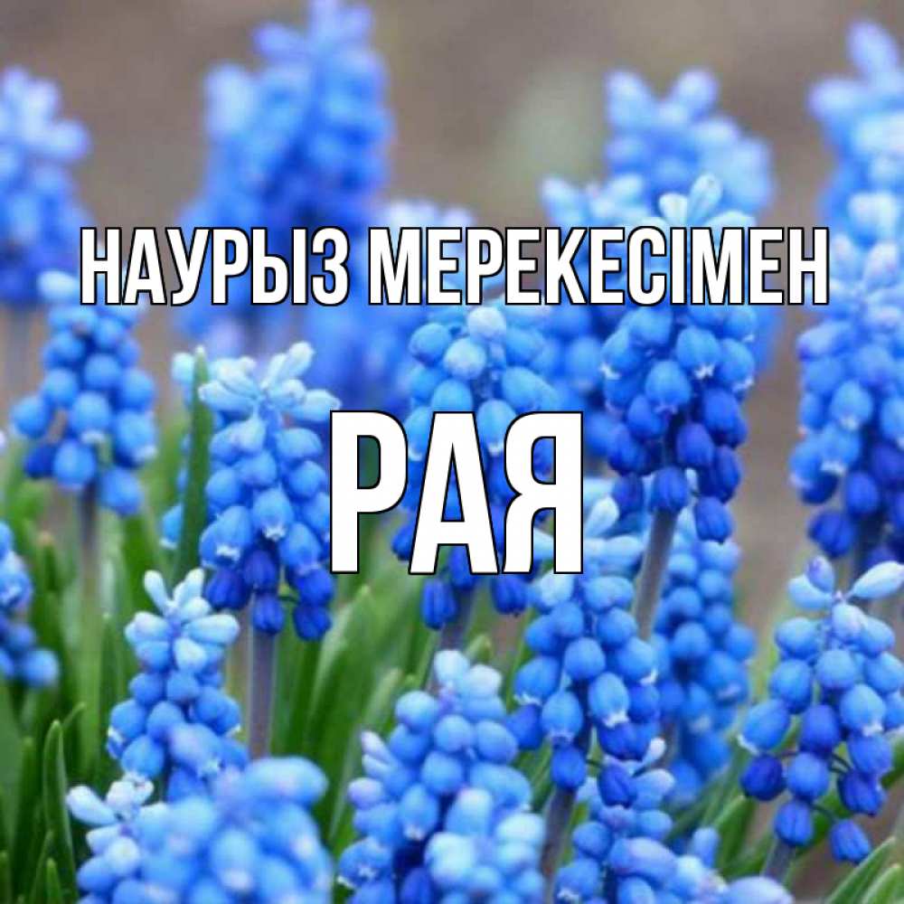 Күн сайын ашық хат с именем, Рая Наурыз мерекесімен Поздравительная открытка для женщин с цветами на праздничную дату Онлайн тегін жүктеп алу тілектері бар керемет карта 