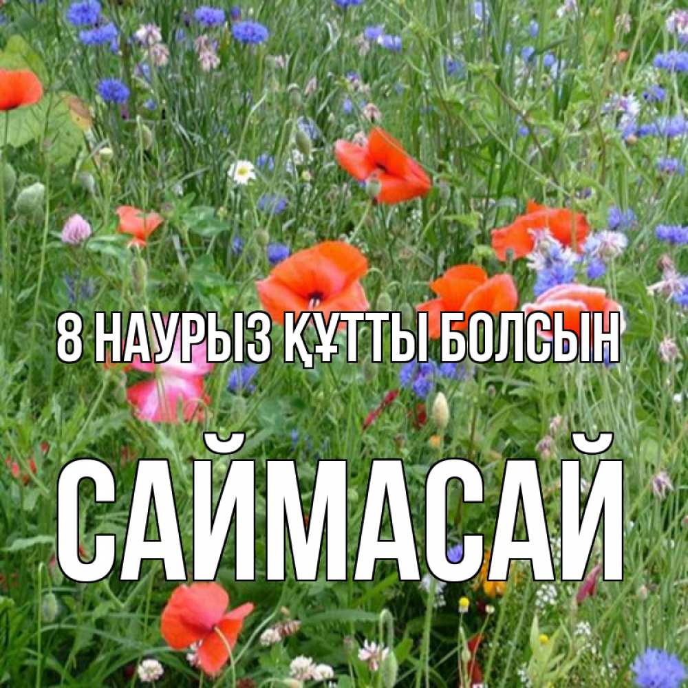 Күн сайын ашық хат с именем, САЙМАСАЙ 8 наурыз құтты болсын международный женский день 4 Онлайн тегін жүктеп алу тілектері бар керемет карта 