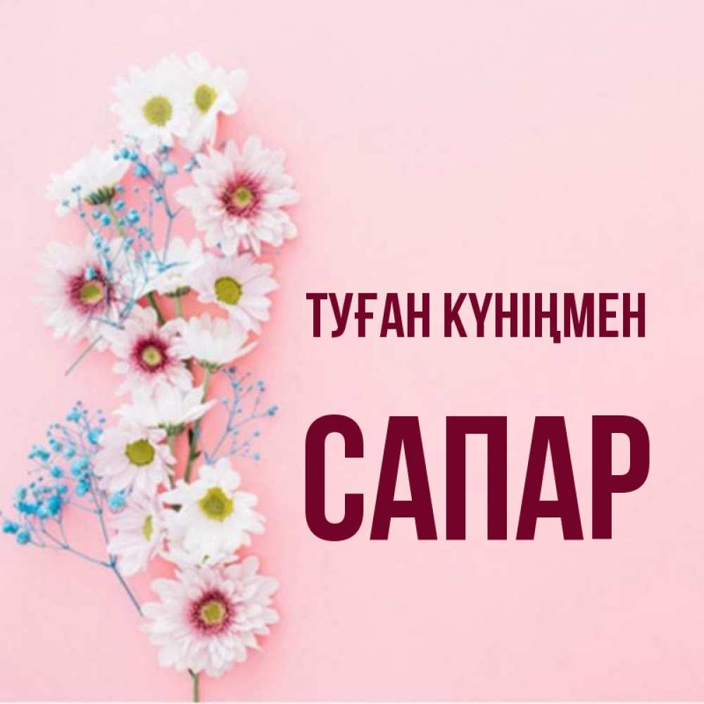 Күн сайын ашық хат с именем, САПАР Туған күніңмен Родная моя с днем рождения тебя картинка с цветами белыми и голубыми Онлайн тегін жүктеп алу тілектері бар керемет карта 