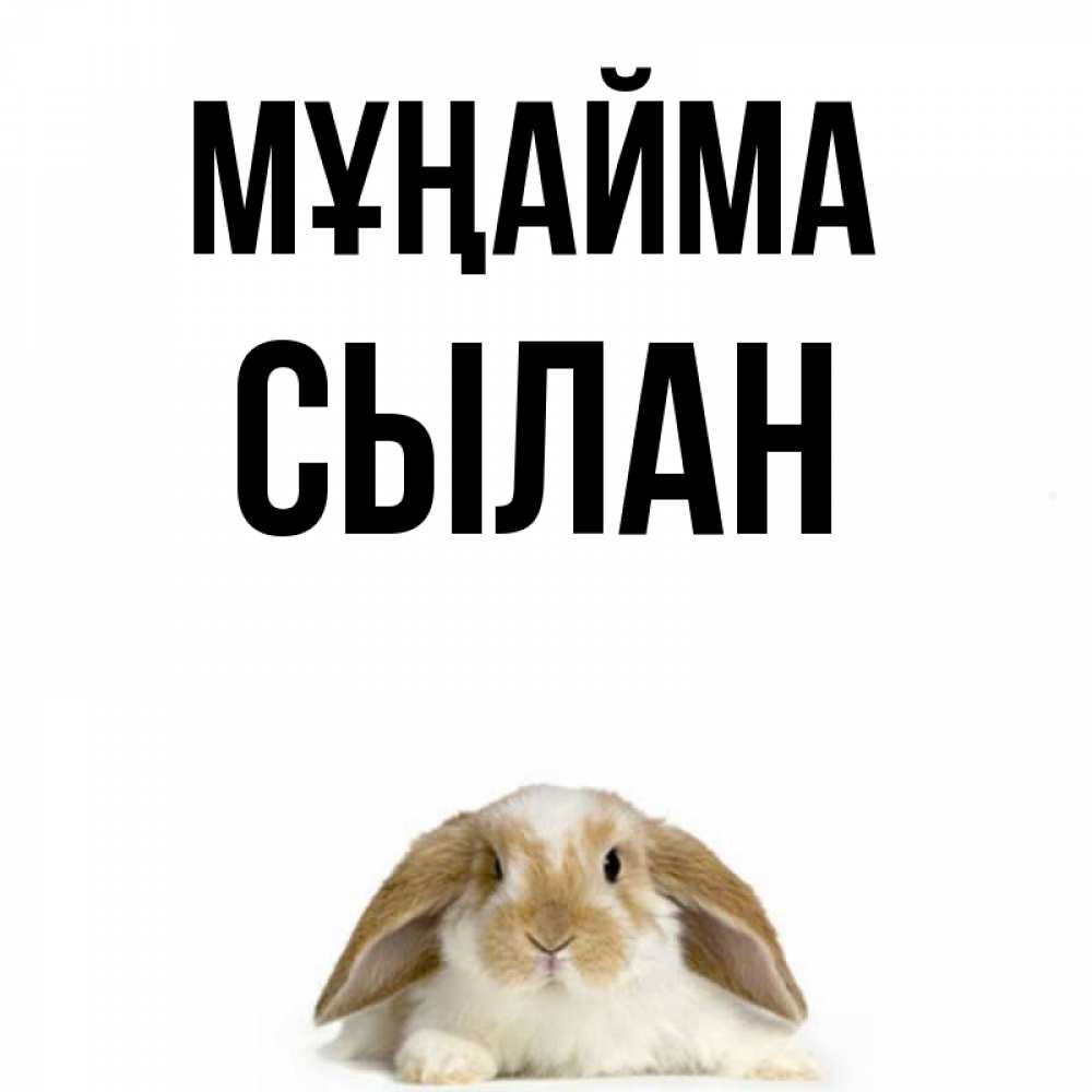 Күн сайын ашық хат с именем, СЫЛАН Мұңайма коричнево белый заяц с большими ушками Онлайн тегін жүктеп алу тілектері бар керемет карта 