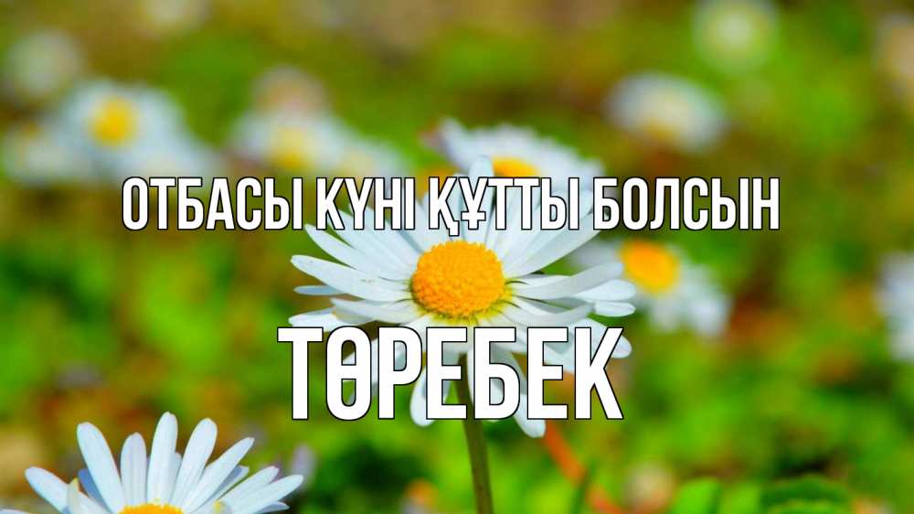 Күн сайын ашық хат с именем, ТӨРЕБЕК отбасы күні құтты болсын с днем семьи Онлайн тегін жүктеп алу тілектері бар керемет карта 