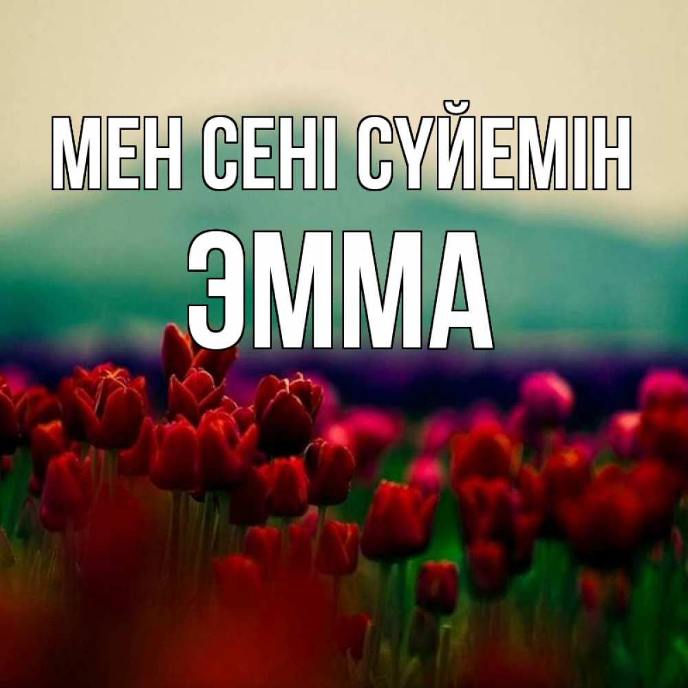Күн сайын ашық хат с именем, Эмма Мен сені сүйемін тюльпаны 4 Онлайн тегін жүктеп алу тілектері бар керемет карта 