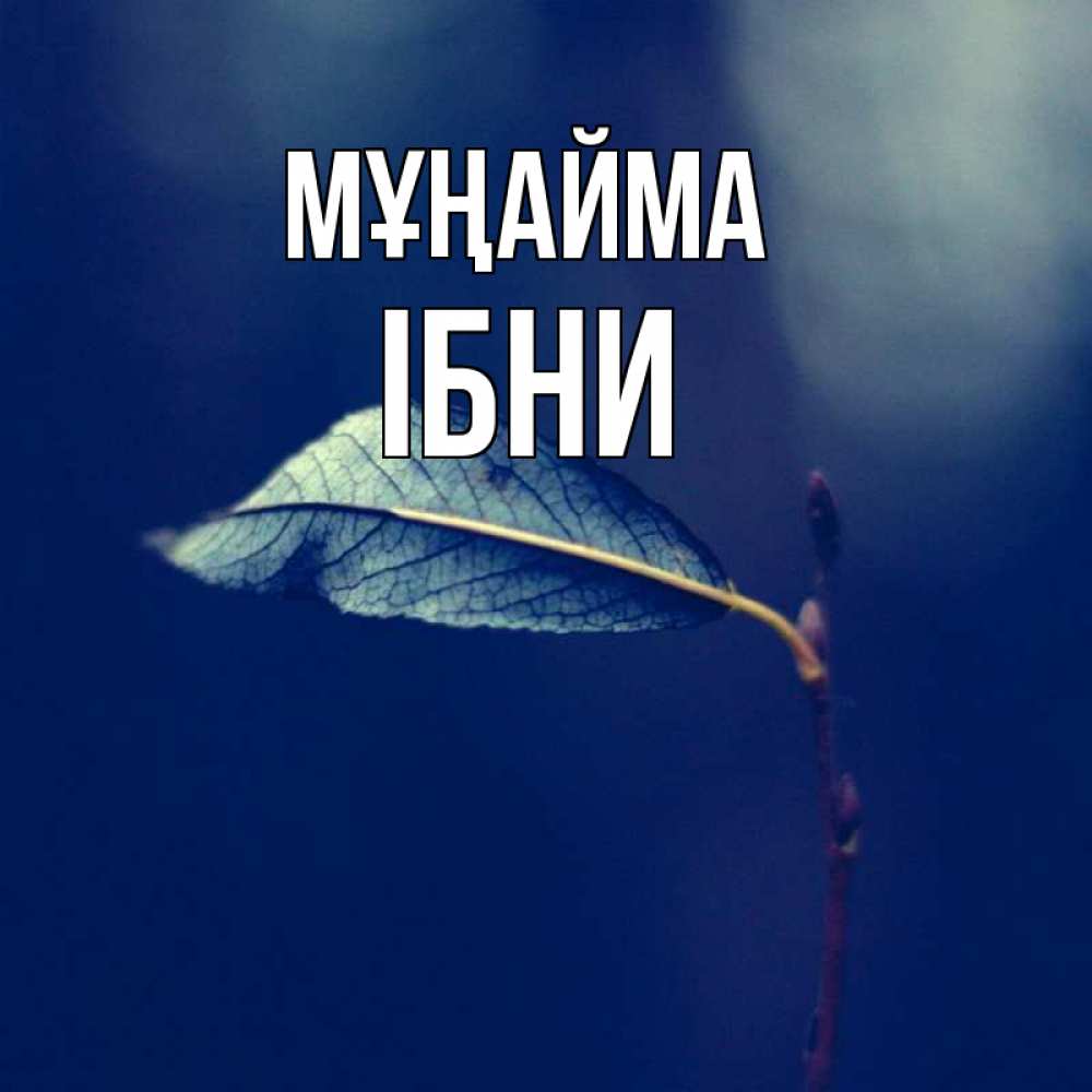 Күн сайын ашық хат с именем, ІБНИ Мұңайма растение Онлайн тегін жүктеп алу тілектері бар керемет карта 