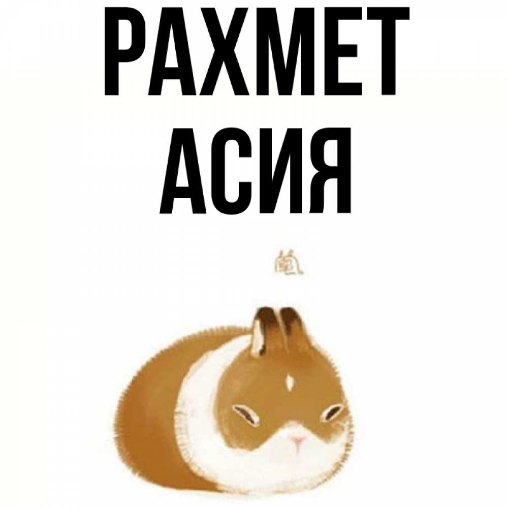 Күн сайын ашық хат с именем, АСИЯ рахмет коричнево белый домашний питомец Онлайн тегін жүктеп алу тілектері бар керемет карта 