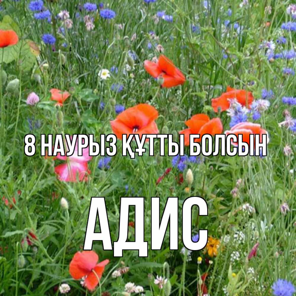 Күн сайын ашық хат с именем, Адис 8 наурыз құтты болсын международный женский день 4 Онлайн тегін жүктеп алу тілектері бар керемет карта 