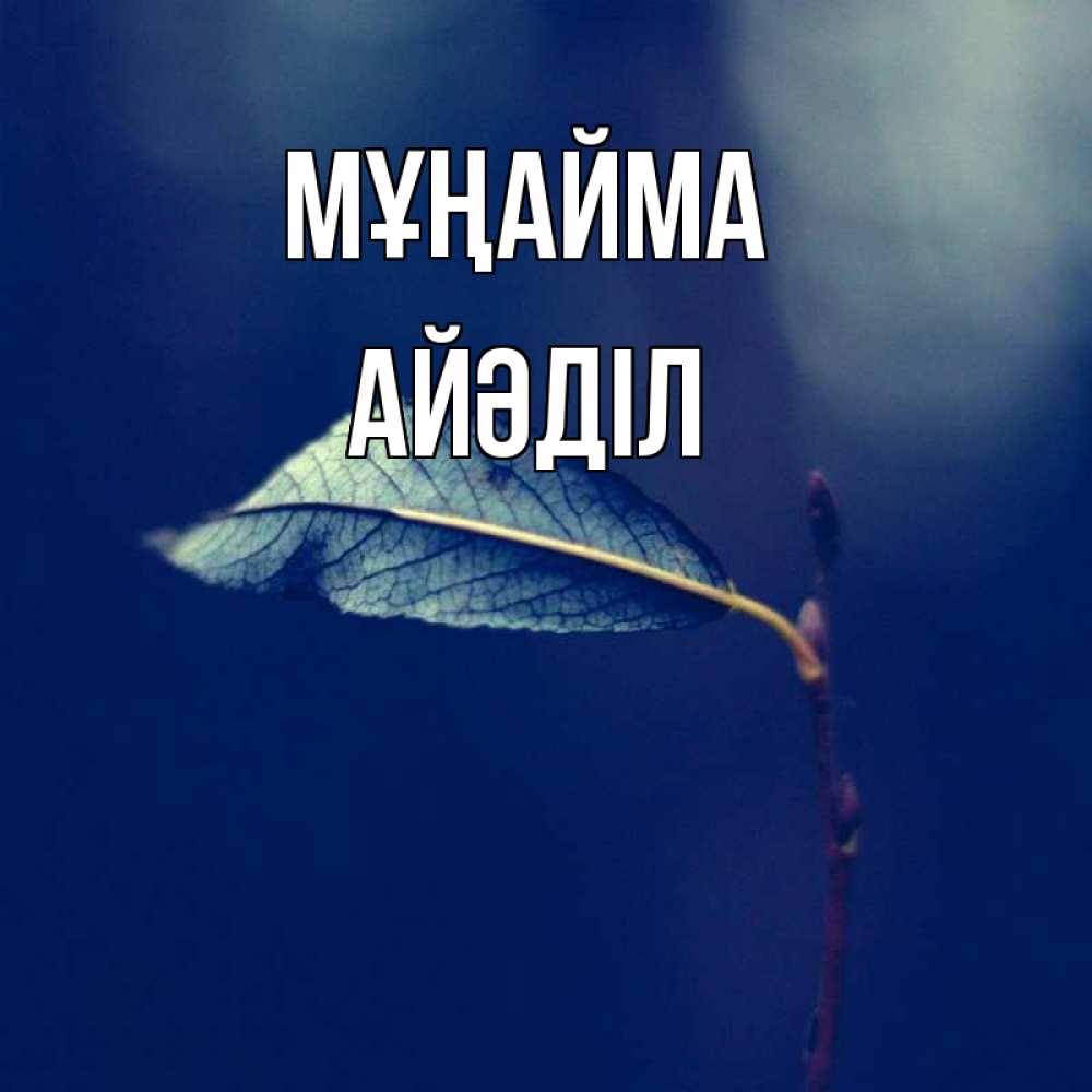 Күн сайын ашық хат с именем, Айәділ Мұңайма растение Онлайн тегін жүктеп алу тілектері бар керемет карта 