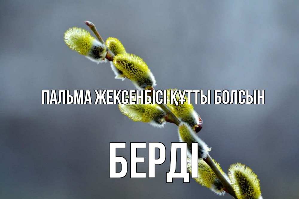 Күн сайын ашық хат с именем, Берді Пальма жексенбісі құтты болсын верба Онлайн тегін жүктеп алу тілектері бар керемет карта 