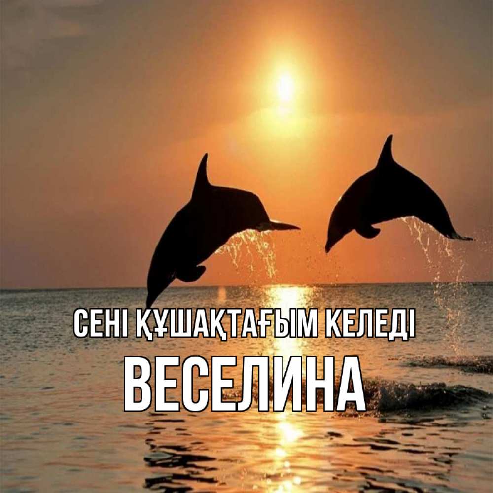 Күн сайын ашық хат с именем, Веселина сені құшақтағым келеді рыбы на закате Онлайн тегін жүктеп алу тілектері бар керемет карта 