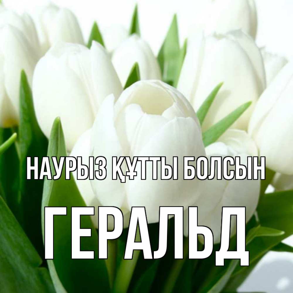 Күн сайын ашық хат с именем, Геральд Наурыз құтты болсын цветы Онлайн тегін жүктеп алу тілектері бар керемет карта 