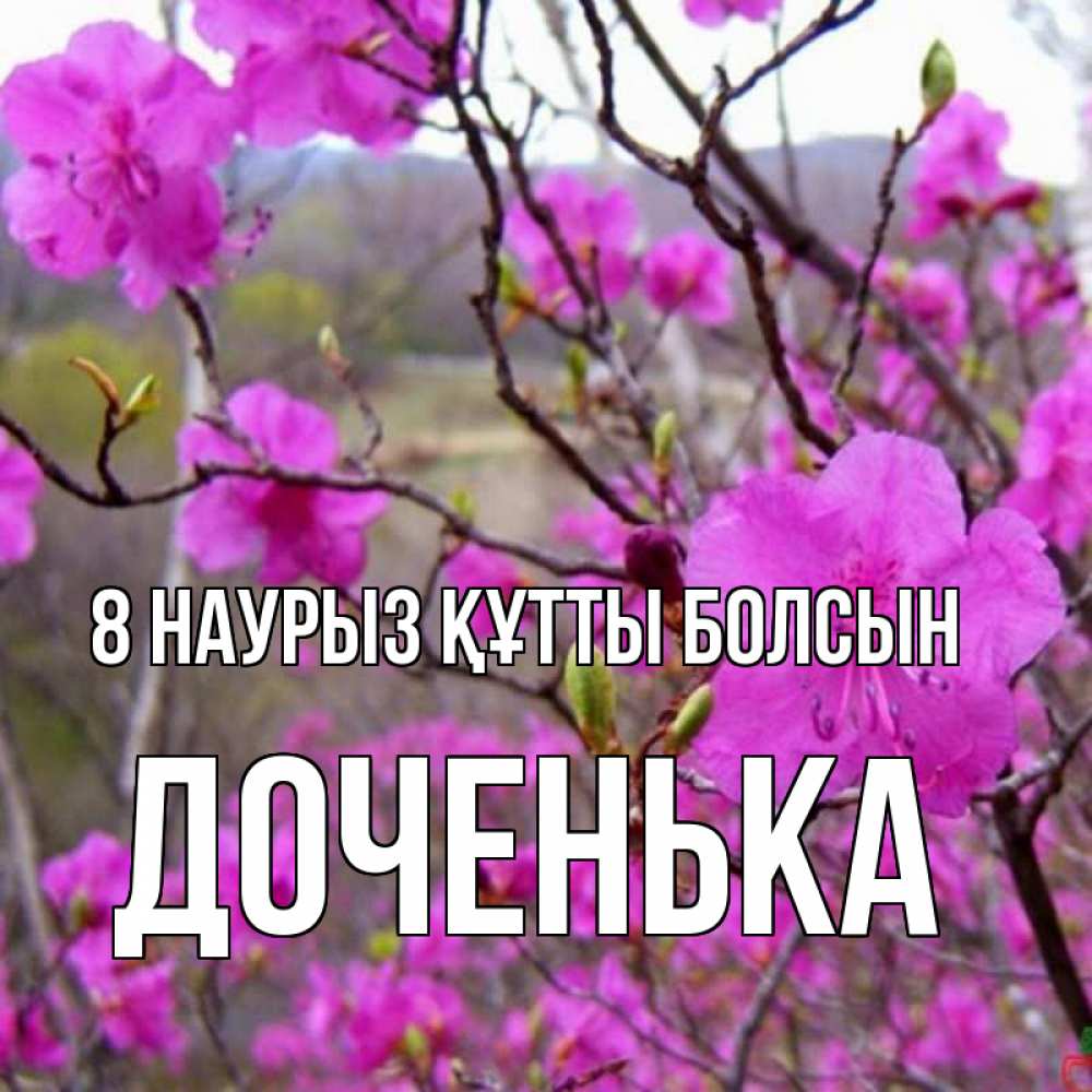 Күн сайын ашық хат с именем, Доченька 8 наурыз құтты болсын международный женский день Онлайн тегін жүктеп алу тілектері бар керемет карта 