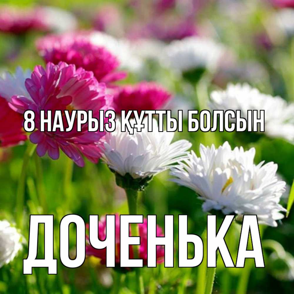 Күн сайын ашық хат с именем, Доченька 8 наурыз құтты болсын международный женский день 1 Онлайн тегін жүктеп алу тілектері бар керемет карта 
