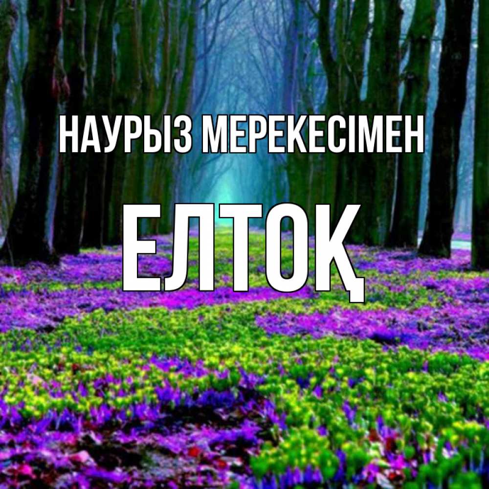 Күн сайын ашық хат с именем, Елтоқ Наурыз мерекесімен фиолетовые цветы в лесу 1 Онлайн тегін жүктеп алу тілектері бар керемет карта 