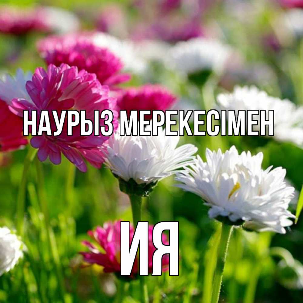Күн сайын ашық хат с именем, Ия Наурыз мерекесімен праздник весны наурыз красота Онлайн тегін жүктеп алу тілектері бар керемет карта 