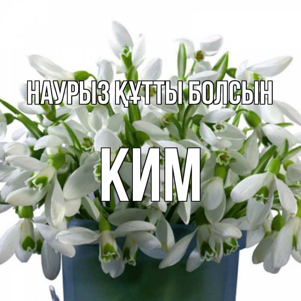 Күн сайын ашық хат с именем, Ким Наурыз құтты болсын цветы к наурызу Онлайн тегін жүктеп алу тілектері бар керемет карта 