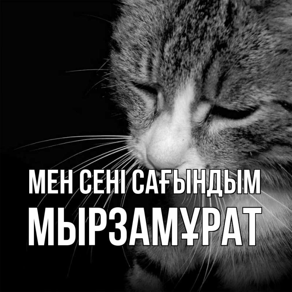 Күн сайын ашық хат с именем, Мырзамұрат Мен сені сағындым мне скучно Онлайн тегін жүктеп алу тілектері бар керемет карта 