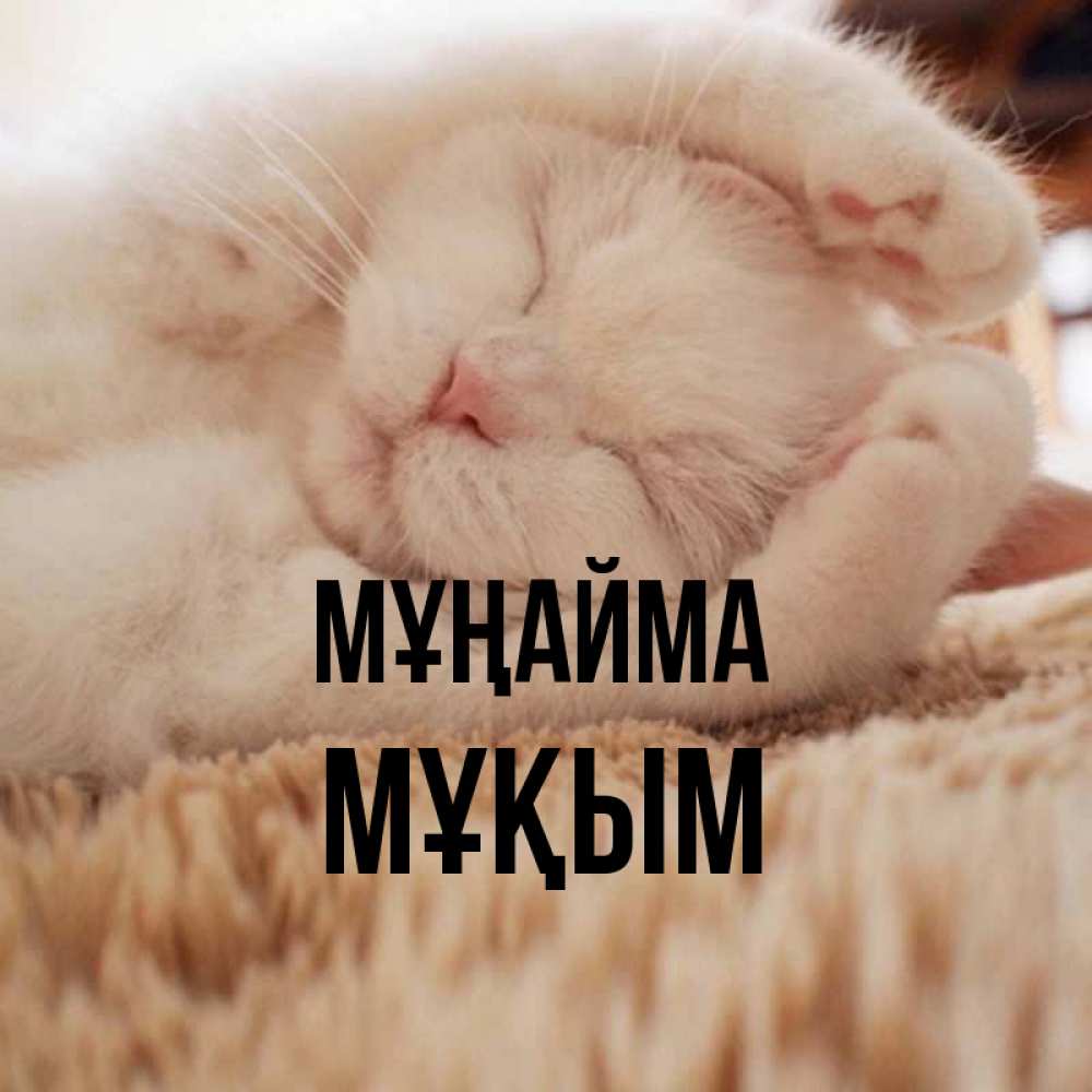 Күн сайын ашық хат с именем, МҰҚЫМ Мұңайма Котенок спит Онлайн тегін жүктеп алу тілектері бар керемет карта 