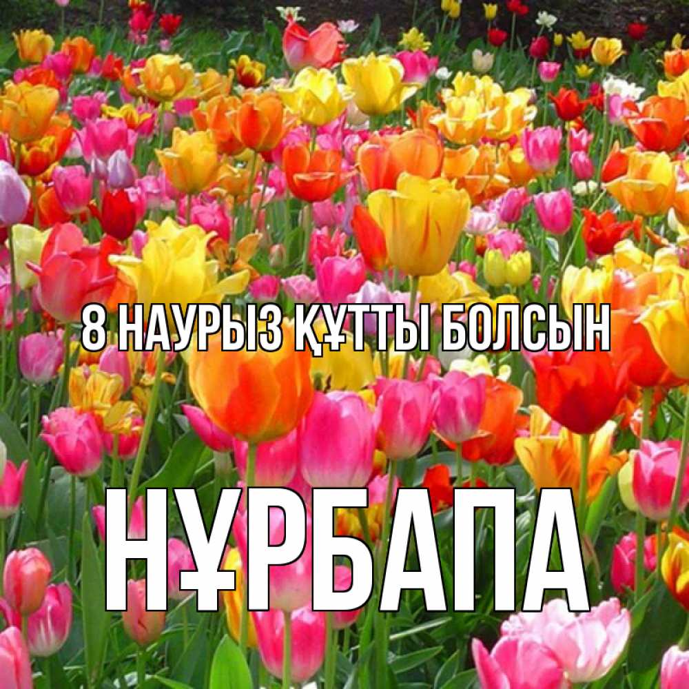 Күн сайын ашық хат с именем, НҰРБАПА 8 наурыз құтты болсын на международный женский день Онлайн тегін жүктеп алу тілектері бар керемет карта 