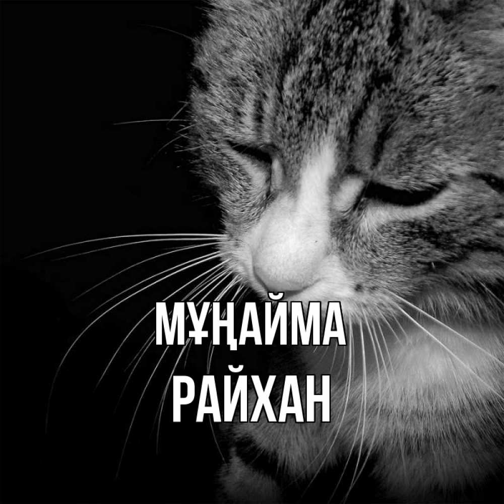 Күн сайын ашық хат с именем, РАЙХАН Мұңайма грустный котик Онлайн тегін жүктеп алу тілектері бар керемет карта 